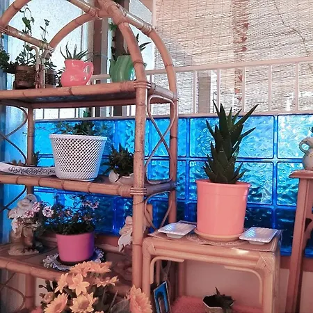 La Casa Di Nonna Lina Al Mare - Senza Barriere Дом отдыха Торре-дель-Лаго-Пуччини