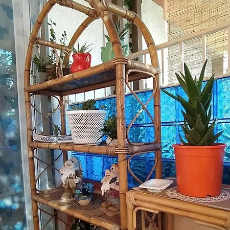 La Casa Di Nonna Lina Al Mare - Senza Barriere Дом отдыха Торре-дель-Лаго-Пуччини